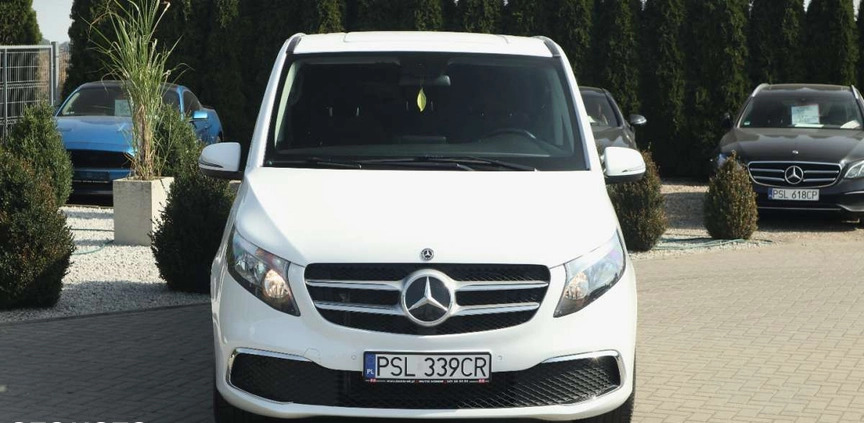 Mercedes-Benz Klasa V cena 159900 przebieg: 171000, rok produkcji 2019 z Słupca małe 436
